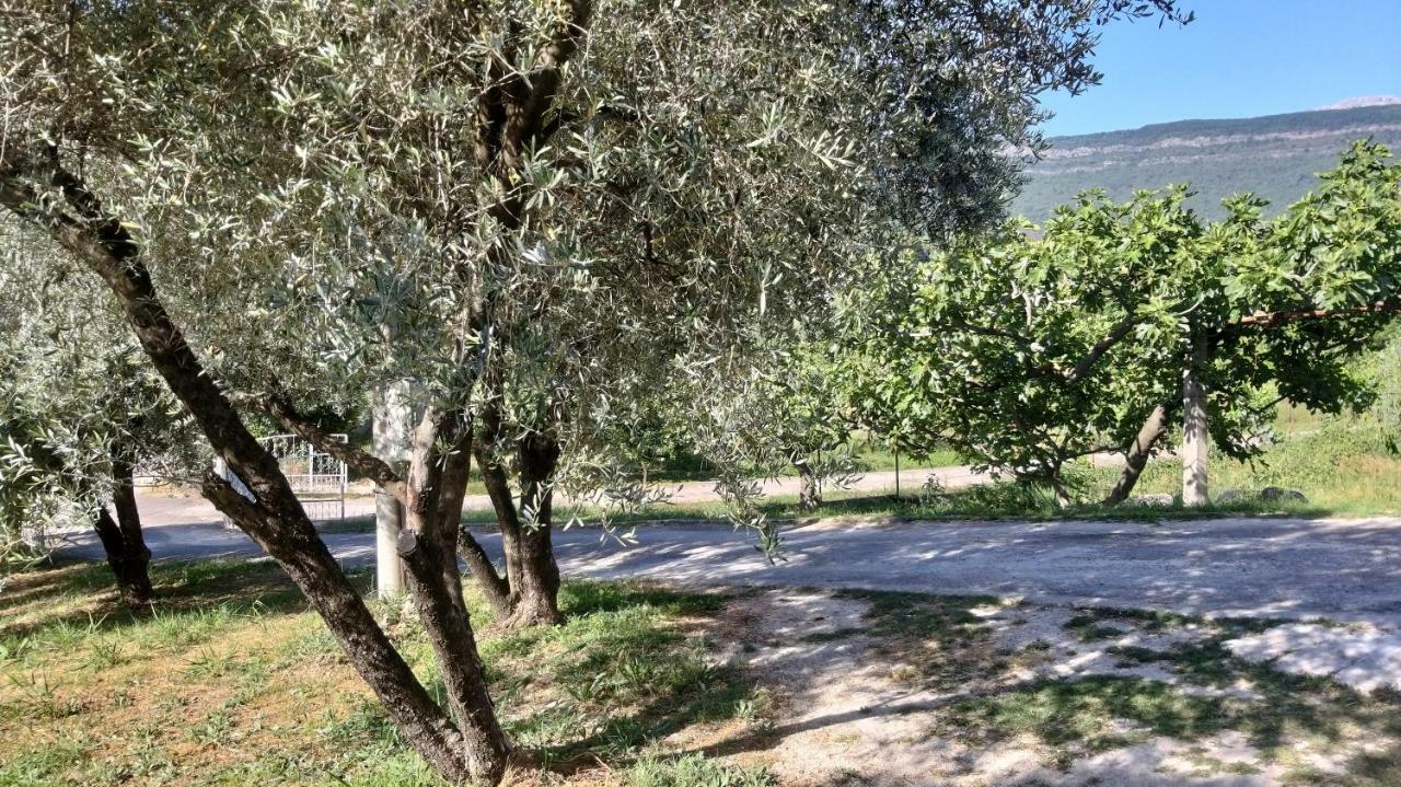 Petivat Gardens Διαμέρισμα Εξωτερικό φωτογραφία